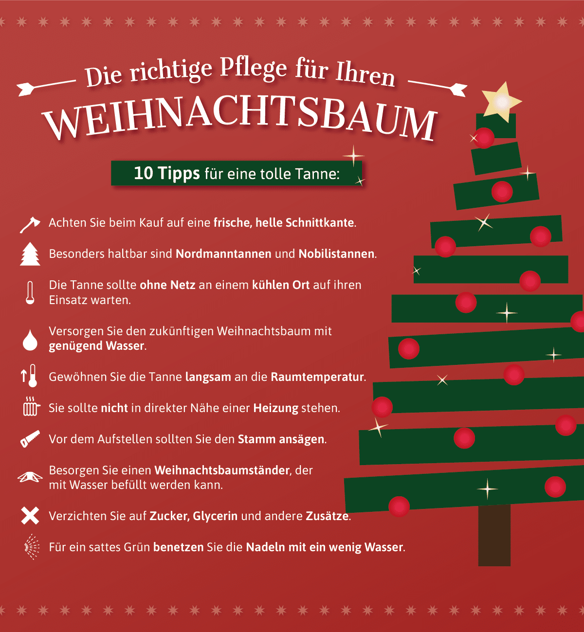 Infografik: Wie können Sie Ihren Weihnachtsbaum möglichst lange frisch halten?