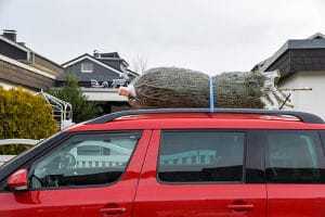 Den Weihnachtsbaum richtig zu transportieren ist nicht schwer: Sie sollten ihn nur ausreichend sichern.