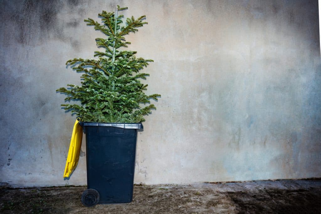 Was gilt es alles bei der Weihnachtsbaumentsorgung zu beachten?