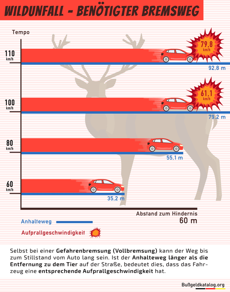 Die Grafik zeigt, wie lang der Anhalteweg eines Autos bei verschiedenen Geschwindigkeiten ist und mit welcher Gesschwindigkeit es entsprechend auf ein 60 Meter entferntes Wildtier prallen würde.