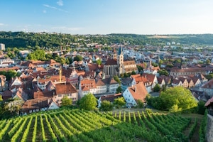 Wie erhalte ich meine Wunschkennzeichen in Esslingen am Neckar?